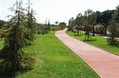 Carril bici (vora barranc)