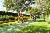 Carril bici (Av. Jaume I)