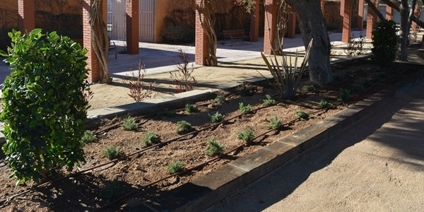 Renovació dels jardins del cementeri