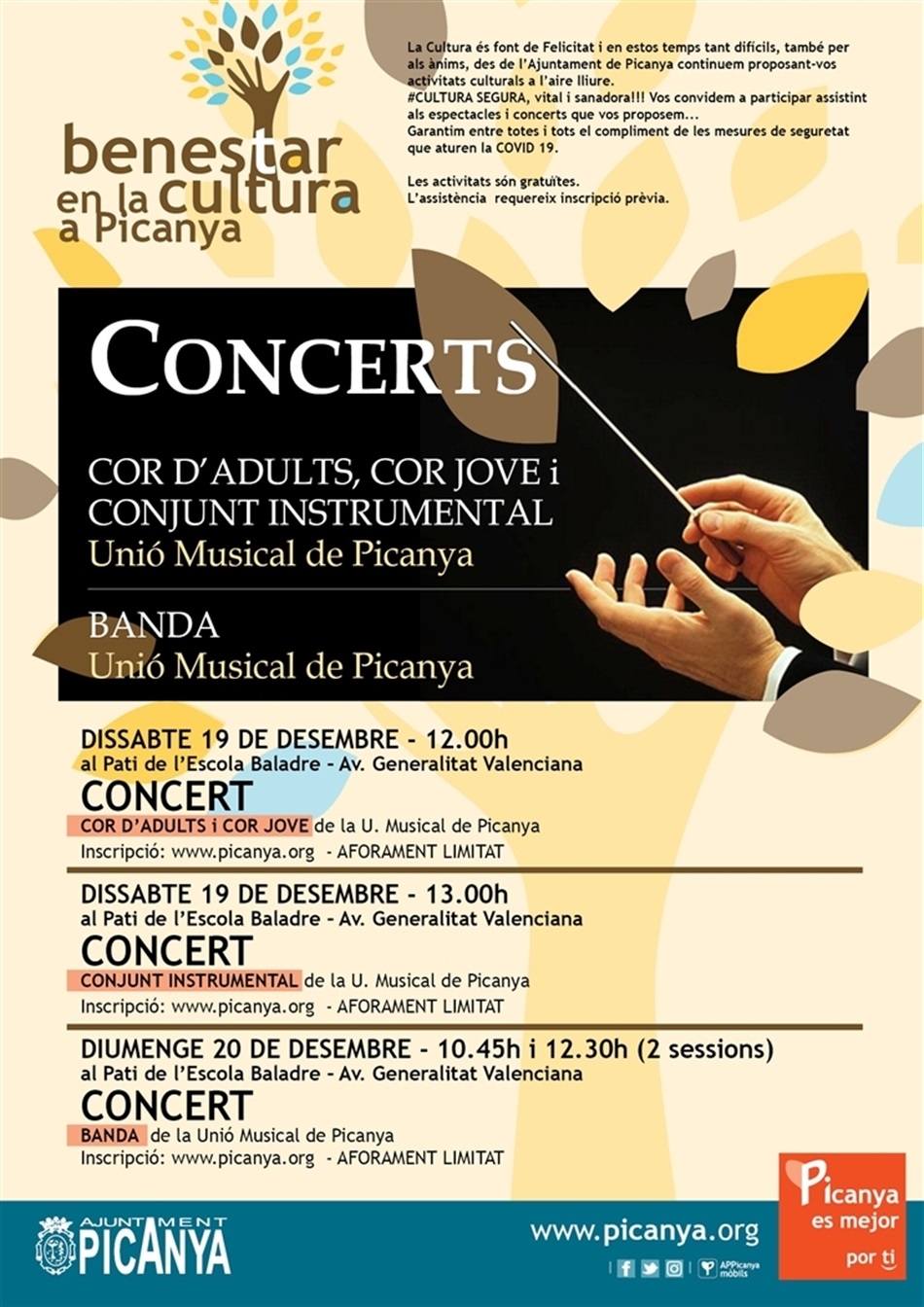 programacio_benestar_de_unio_musical_3_concerts