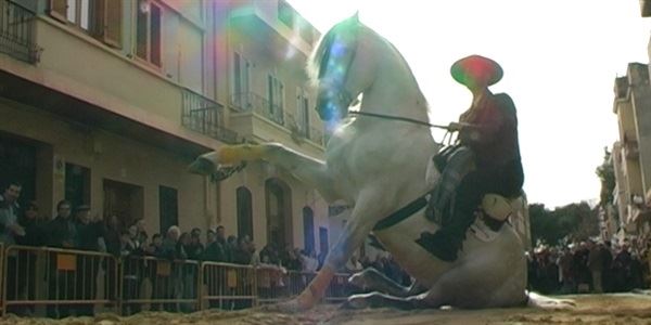 Festa de Sant Antoni 2010