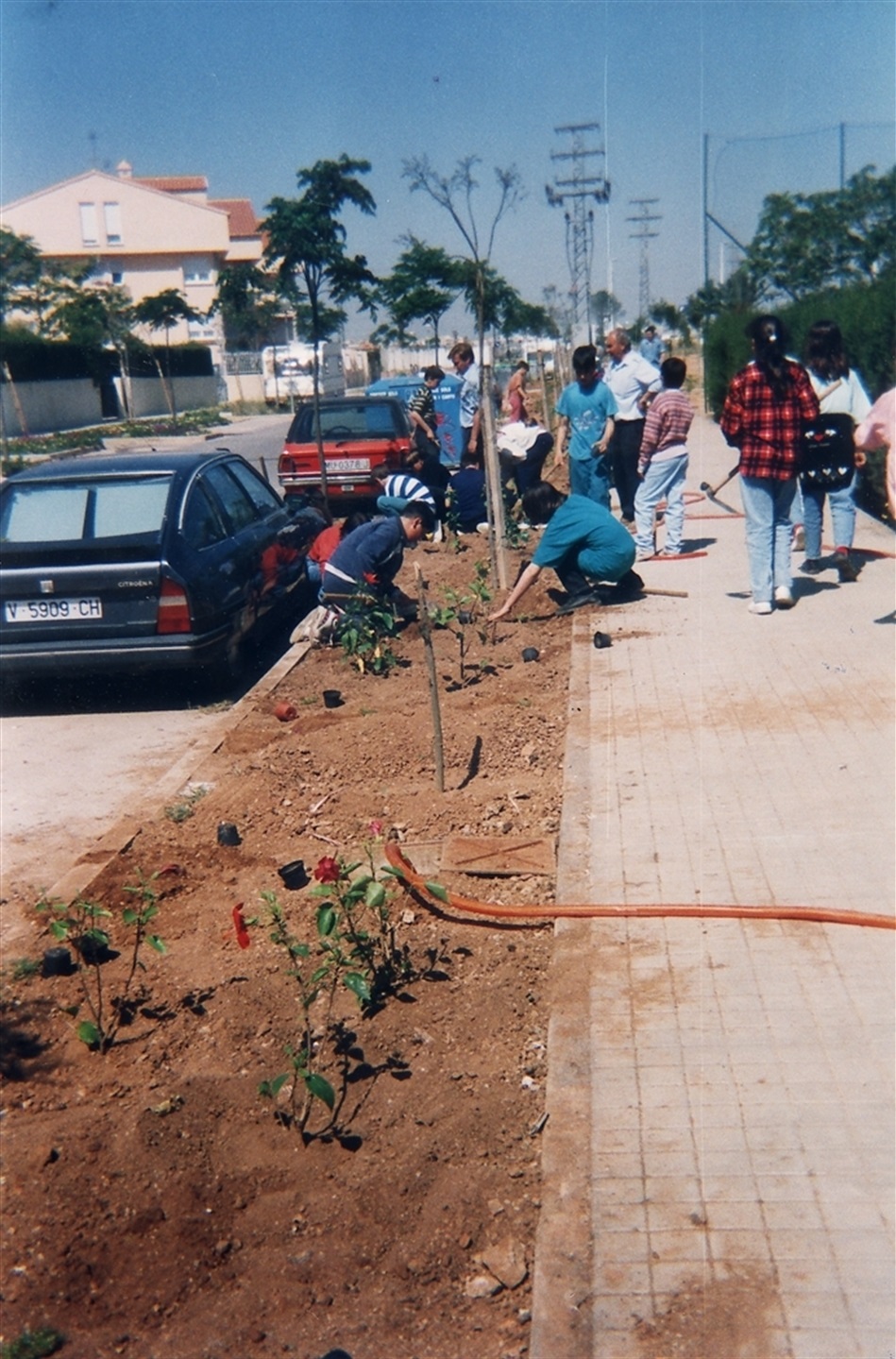 91-95plantacioarbres02